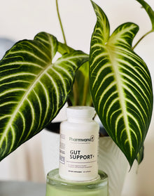 Gut Support+