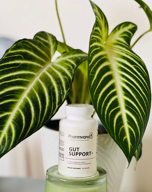 Gut Support+